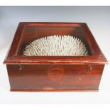 A late 19th century stained pine display case, with hinged glass top containing a coral specimen,