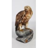 A late 19th/ 20th century taxidermy Eagle, with glass inlaid eyes, standing on a rocky outcrop, 73cm