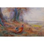AR James Stinton (1870-1961) Cock and Hen Pheasants in Autumnal landscape watercolour, signed