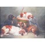 19th century British School Portrait of three spaniels and a King Charles spaniel oil on canvas 24.