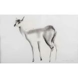 AR John Skeaping RA (1901-1980) Duiker antelope ink and graphite signed and dated 1929 lower right
