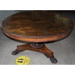 An early 19th Century rosewood snap top supper table, the circular top with a gadrooned carved