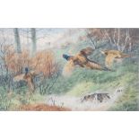 After Archibald Thorburn The Glory of Autumn and The Twelfth a pair of coloured prints 41cm x 60.