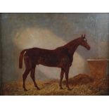 James Walsham Baldock (1822-1898) A portrait of the race horse Comis, winner of the Golfers