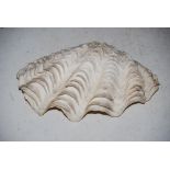 A GIANT CLAM SHELL