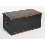 Early 20th painted wooden chest, of plain rectangular form the hinged top opening to reveal a