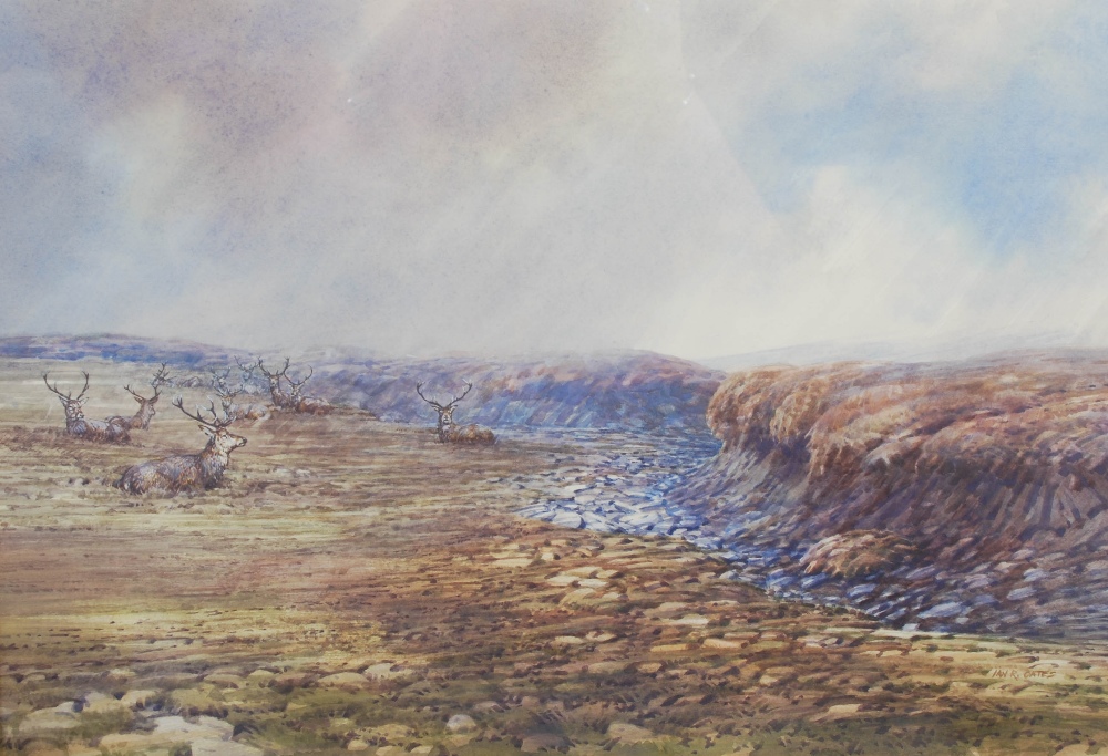 AR Ian R Oates (Scottish 1950 - 2010) Stags resting on the peat, Glen Lochay watercolour on paper,