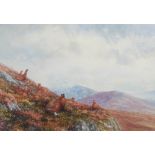 AR Ian R Oates (Scottish 1950 - 2010) A covet of grouse with stags in the distance, Glen Lochay
