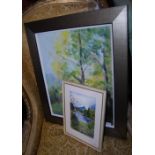Two framed paintings by Susan McGowan (Contemporary Scottish School), including a watercolour titled