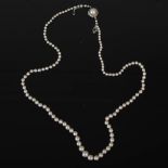 A single strand pearl necklace, set with a graduated row of pearls, with white metal clasp, 52cm