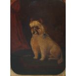 James Coutts Michie ARSA (Scottish 1861-1919), Portrait of a Norfolk Terrier, oil on canvas