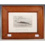 P J Smit (Late 19th century British School) An en grisaille sketch of a Ganges River Dolphin (