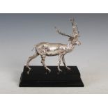A 20th century silver model of a Stag, Sheffield, 1995, makers mark of C. Vander Ld., mounted on