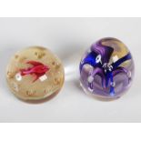 Two Paul Ysart paperweights, one centred with a pink coloured fish above a sandy ground with eight