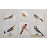 Late 19th / early 20th century British School A pair of six studies of songbirds watercolour on