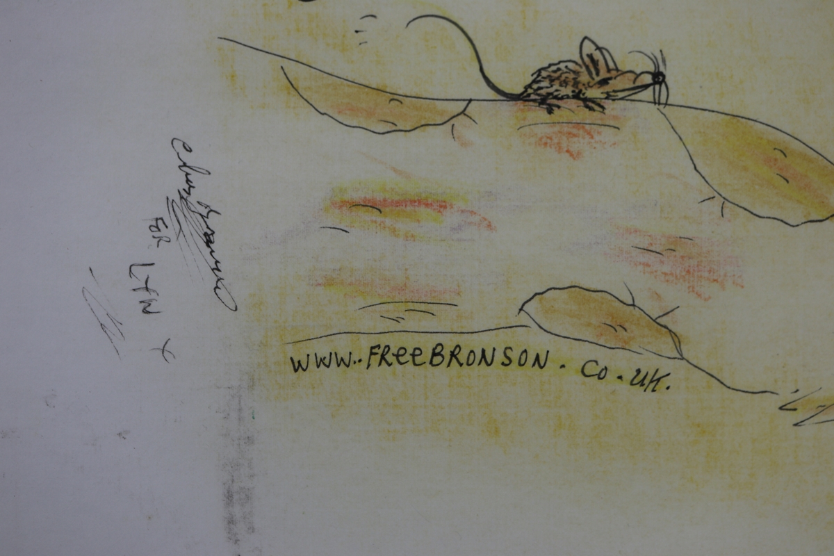 Original Charles Bronson jail art - It's nice to be nice in colour - Hand drawn & signed - Image 3 of 6