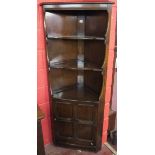 Ercol corner cabinet