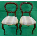 Pair of mahogany balloon-back chairs