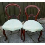 2 mahogany balloon back chairs