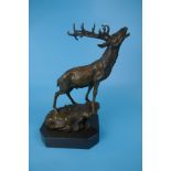 Bronze stag on marble base - Approx H: 37cm