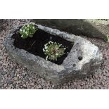 Stone trough planter with plants