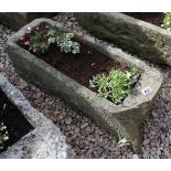 Stone trough planter with plants