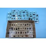 Large collection of bugs set in resin