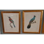 Pair of bird prints