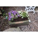 Small antique stone trough with plants