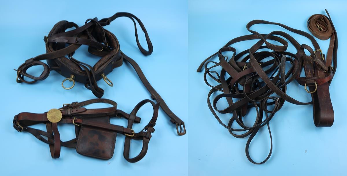 Assortment of horse tack