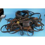 Large quantity of horse tack