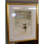 Watercolour of duck signed H A