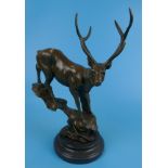 Bronze stag on marble base - Approx H: 36.5cm