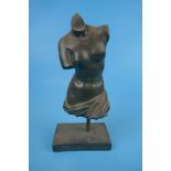 Bronzed bust - Approx H: 25cm