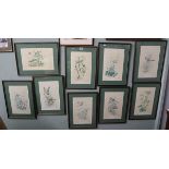 9 framed & L/E bird prints by Royal Worcester artist E Townsend