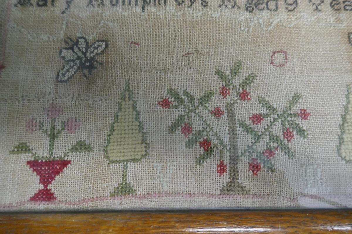 Small early Victorian framed sampler by Mary Humphries aged 9 - 1846 - Bild 5 aus 8