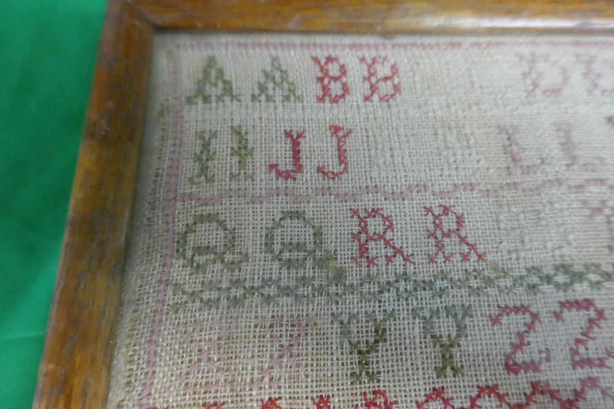 Small early Victorian framed sampler by Mary Humphries aged 9 - 1846 - Bild 4 aus 8