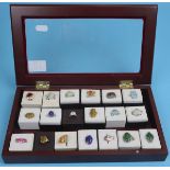 Collection of 19 costume jewellery rings in display case