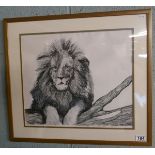 Pen and ink of lion by Sally E Conner