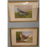 Pair of watercolours signed AVG - Cuckoo & Woodcock