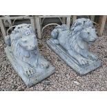 Pair of stone sitting lions - Approx length: 71cm