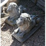 Pair of stone lions