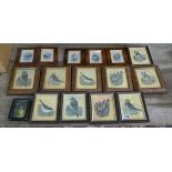 Collection of Ornithological paintings - Watercolours to include sets by Graham Payne & Gwen