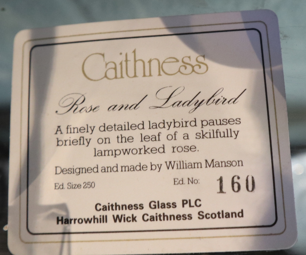 Collection of Caithness paperweights - Image 10 of 20