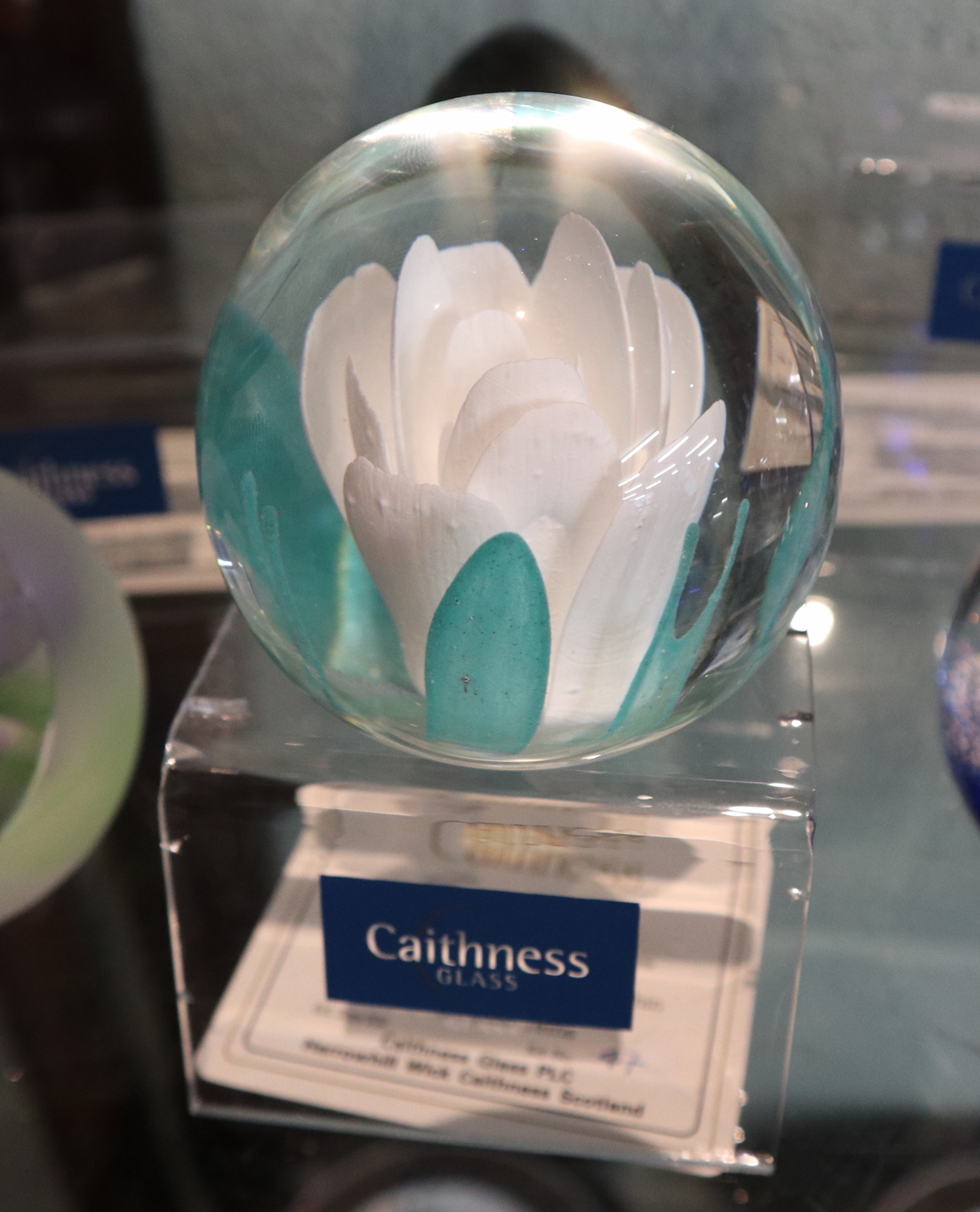 Collection of Caithness paperweights - Image 15 of 20