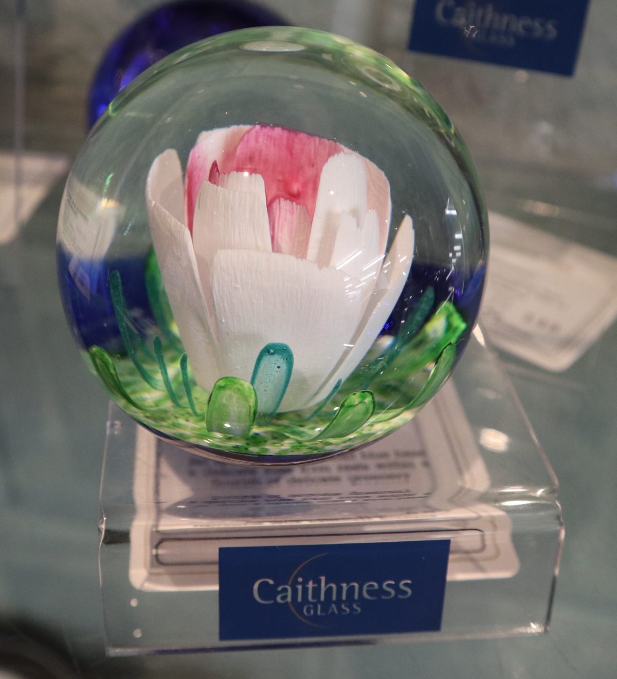 Collection of Caithness paperweights - Image 7 of 20
