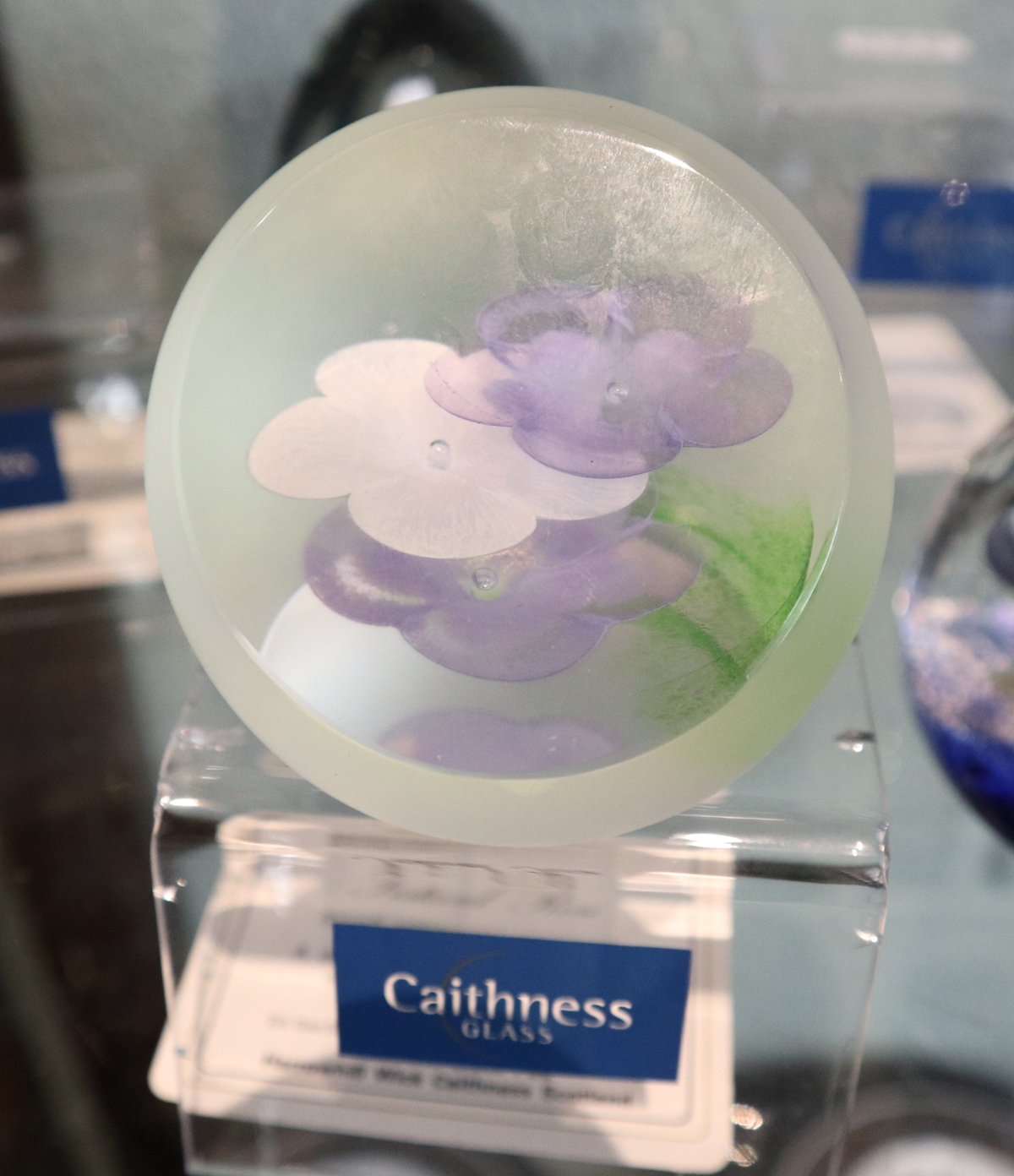 Collection of Caithness paperweights - Image 17 of 20