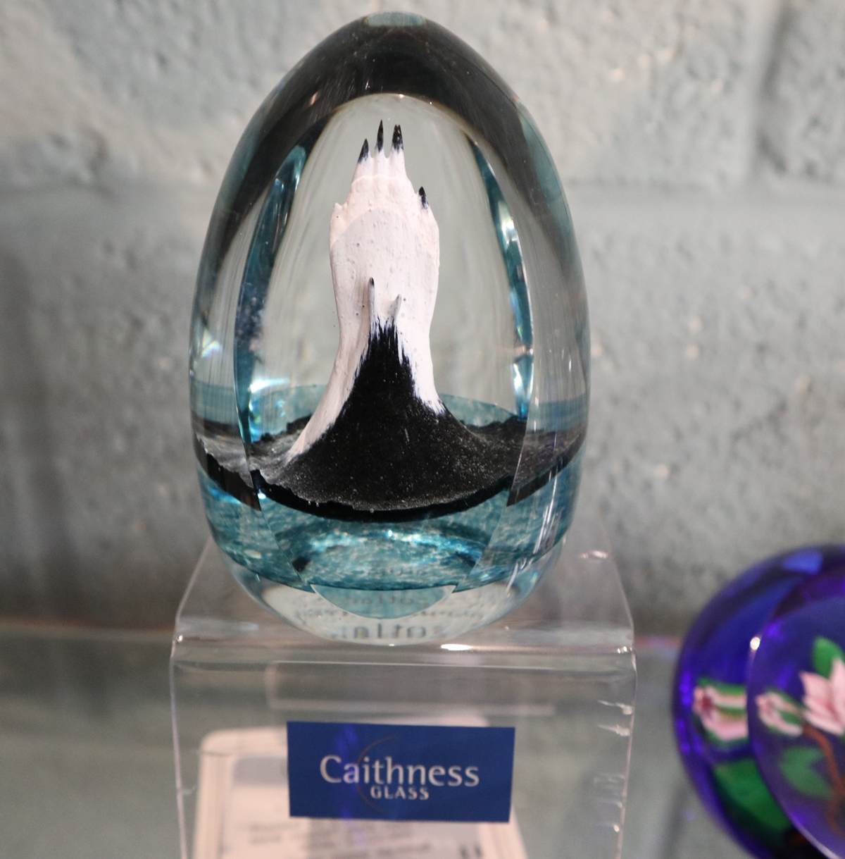 Collection of Caithness paperweights - Image 19 of 20