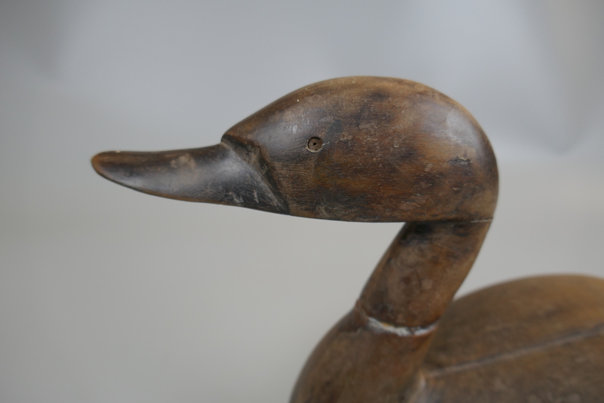 French decoy duck - Approx H: 21cm - Bild 3 aus 10