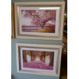 Pair of pretty blossom prints